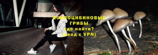 стаф Богородицк
