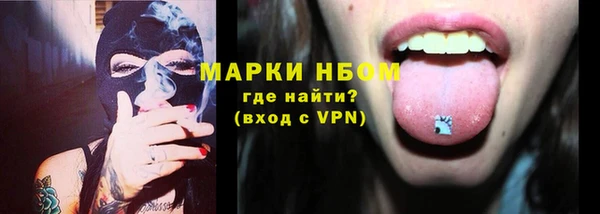 стаф Богородицк