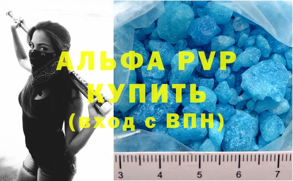 стаф Богородицк