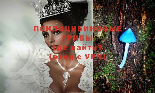 крисы Богданович