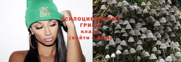 крисы Богданович