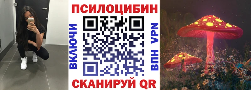 магазин    Комсомольск-на-Амуре  Галлюциногенные грибы Psilocybine cubensis 